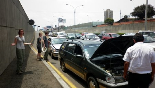 Wow, look at that! Isn't that fucking fascinating? Let's just stop our cars and look at it for a while!