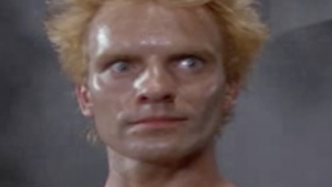 sting