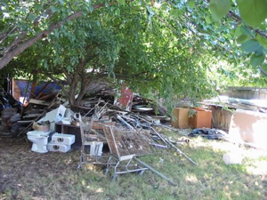 "Well at least clean up the trash in the yard. The neighbors have been..."<br/>"Sacred!"