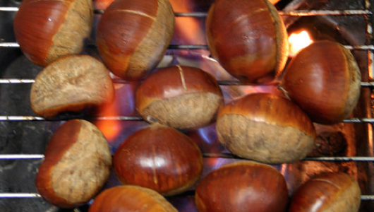 Warning: The following post contains both chestnuts and roasting