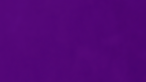 It was, somehow, even more purple than this.