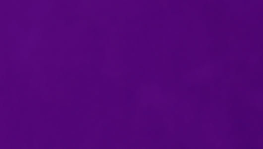 It was, somehow, even more purple than this.