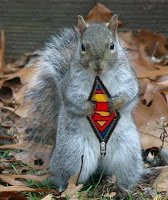 That cost might come down assuming we find the right squirrels for the job.